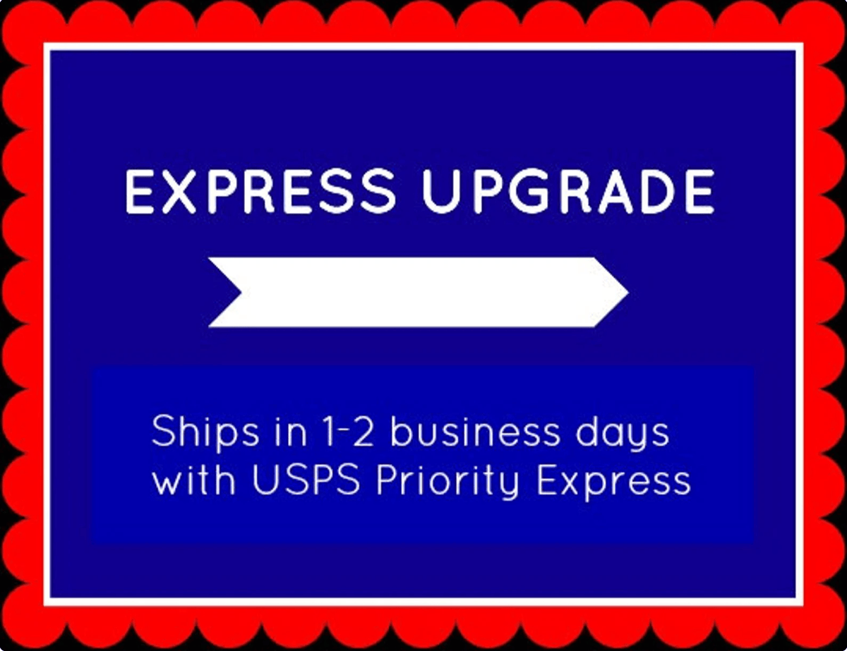 Express shipping overnight package delivery upgrade
