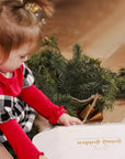 First Year Baby Milestone Ornaments