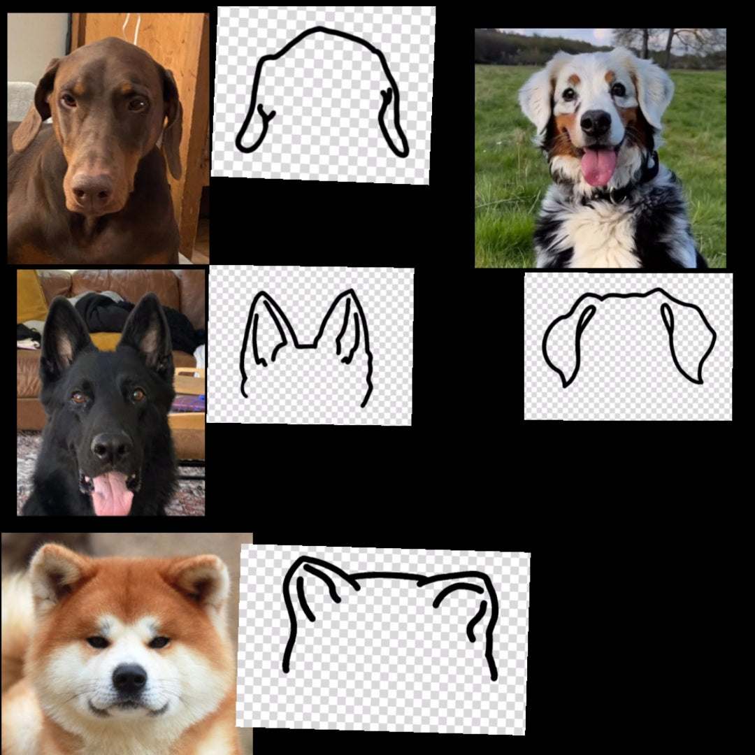Dog Ear Ornament - Going Golden