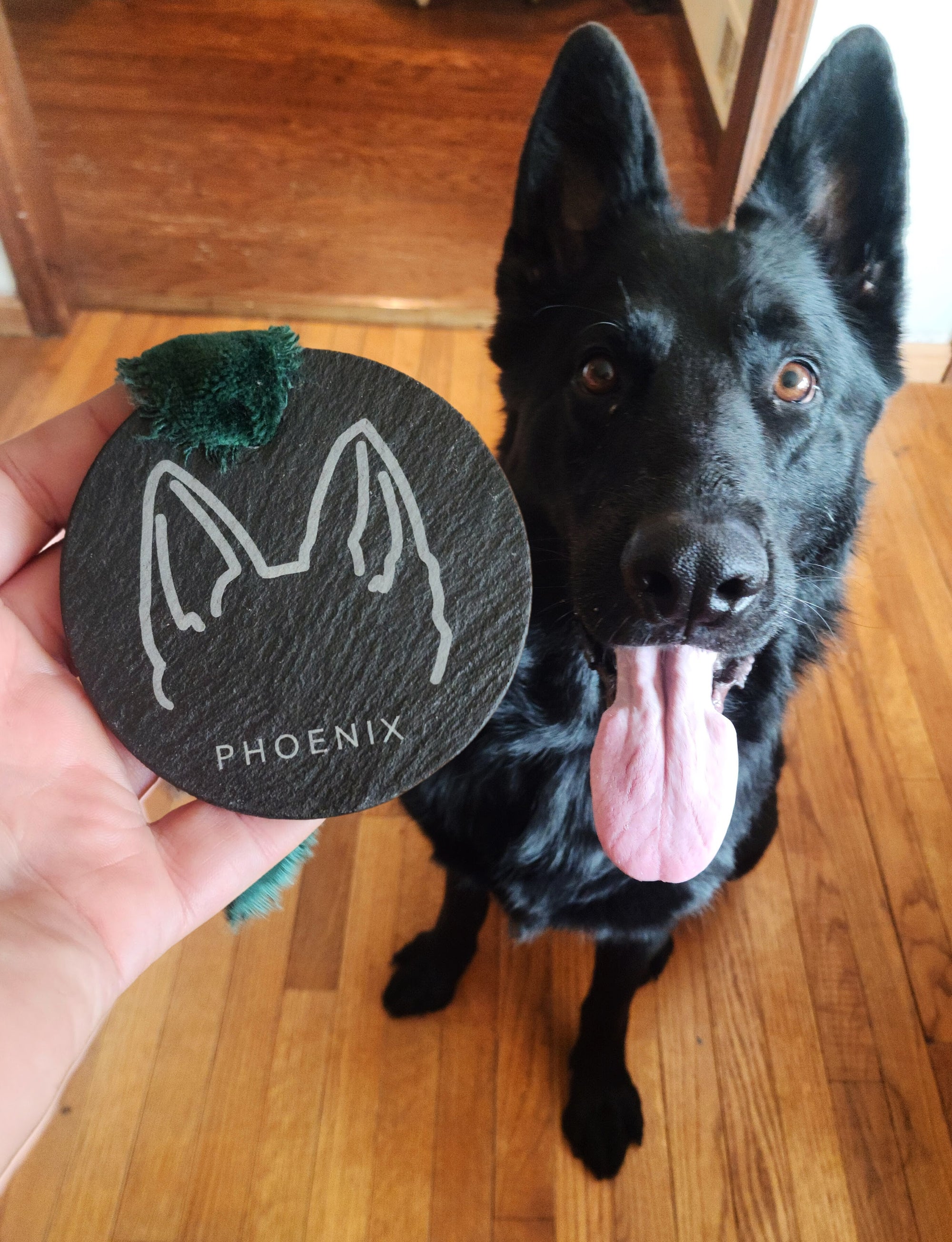 A black slate dog ear ornament with a velvet fringe ribbon, held in a hand, with a dog in the background.