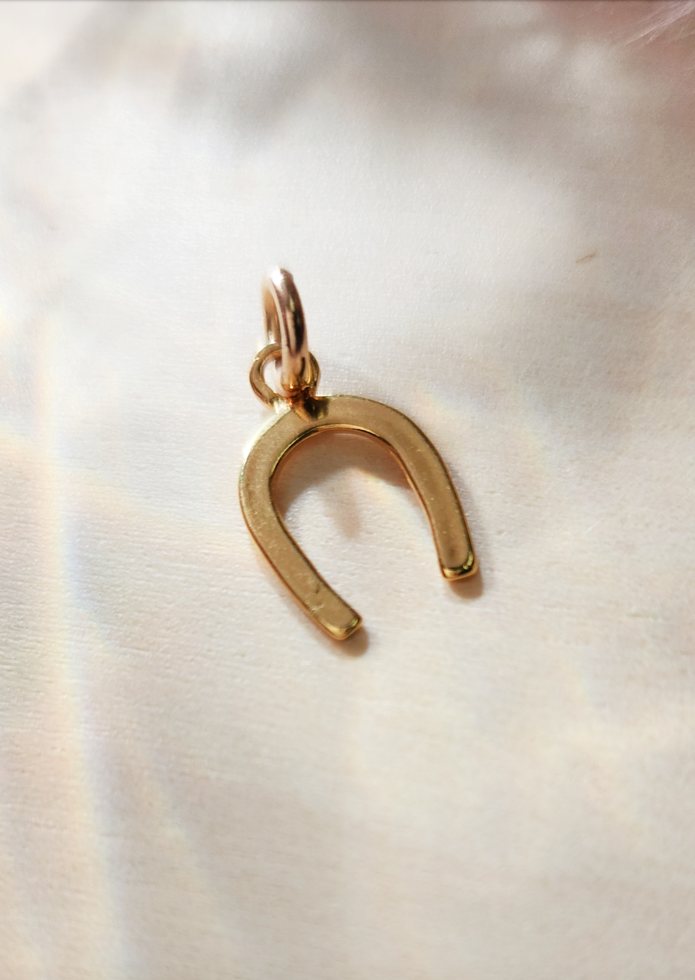 Horseshoe Charm - Going Golden