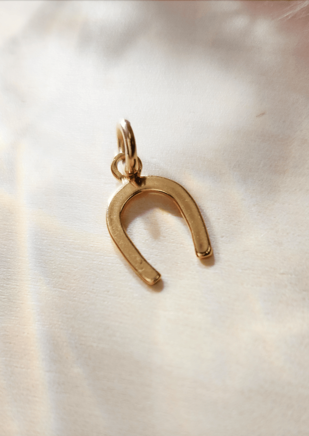 Horseshoe Charm - Going Golden