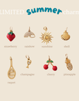 Collection of limited summer charms on a beige background