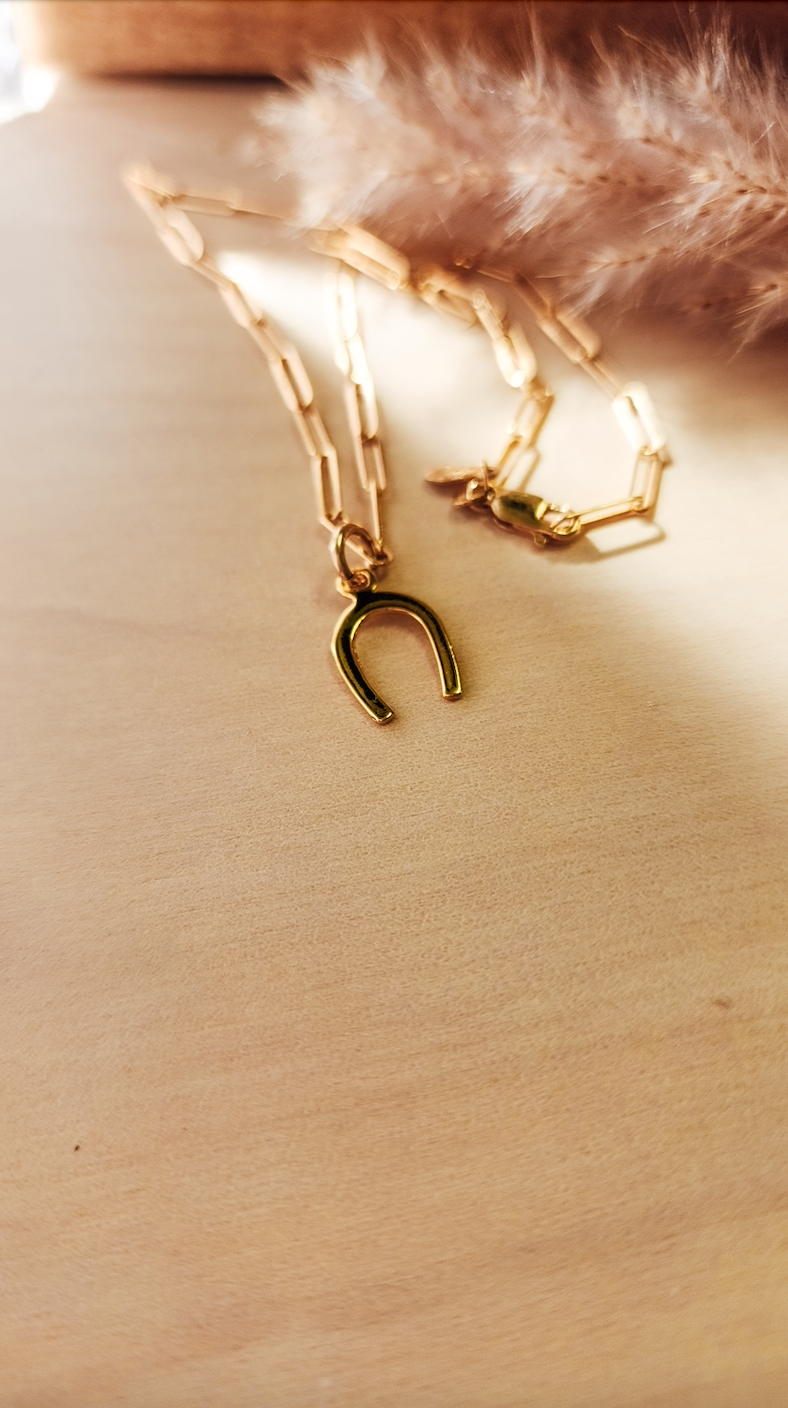 Horseshoe Charm - Going Golden