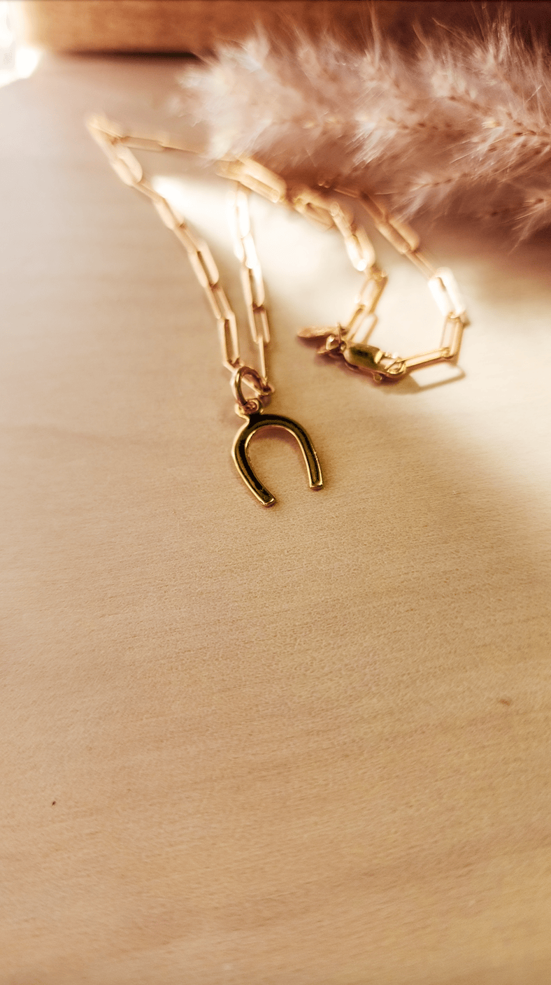 Horseshoe Charm - Going Golden