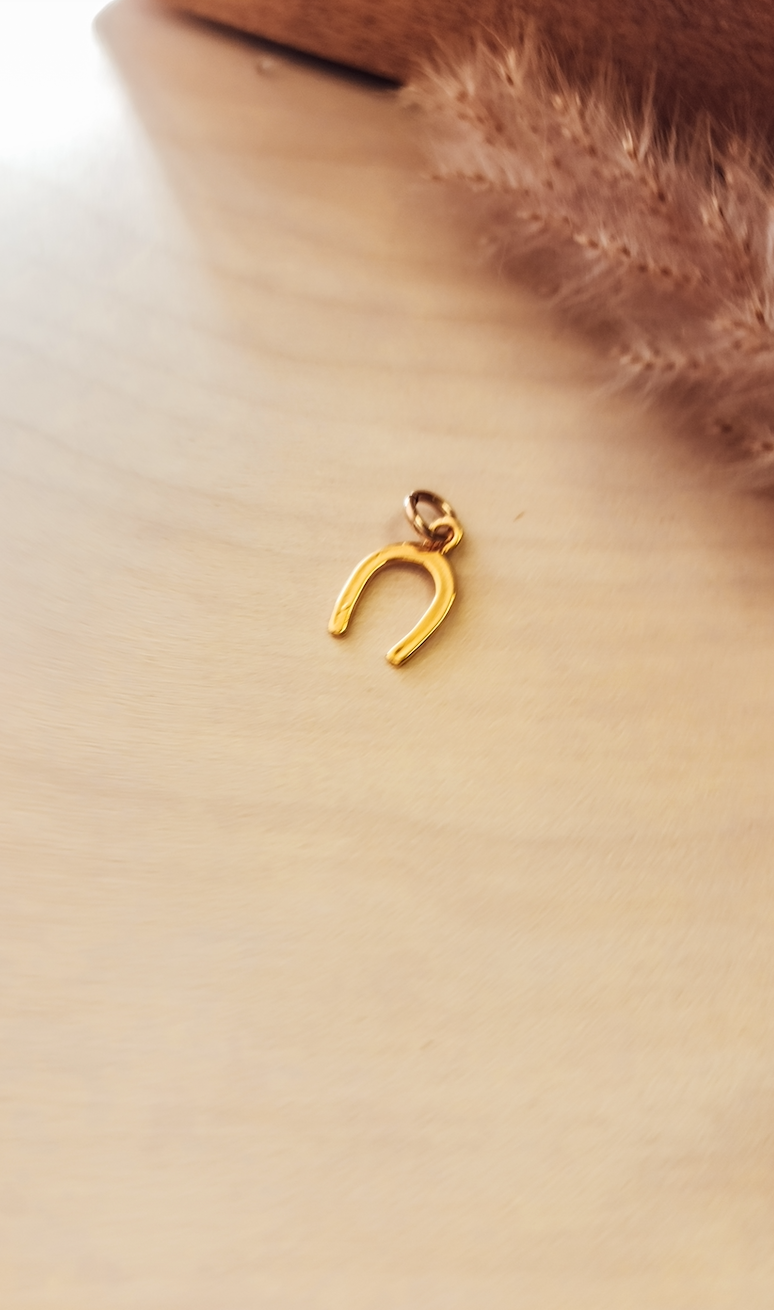Horseshoe Charm - Going Golden
