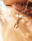 A gold-colored horseshoe necklace with an elongated paperclip chain and a lobster clasp, placed on a wooden surface.