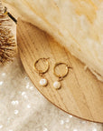 Noella Earrings - Going Golden