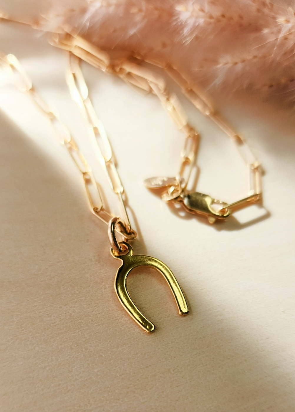 Horseshoe Charm - Going Golden