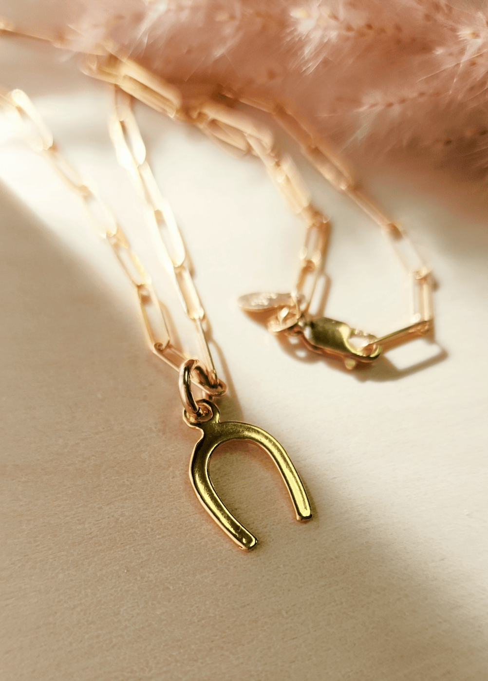 Horseshoe Charm - Going Golden