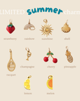 Collection of gold charms with labels on a beige background, featuring 'LIMITED summer charms' text.