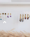 Color Envy Dangle Earring