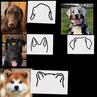 Dog Ear Ornament - Going Golden