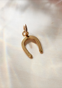 Horseshoe Charm - Going Golden