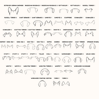 Dog Ear Ornament - Going Golden