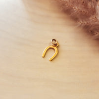 Horseshoe Charm - Going Golden