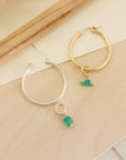 Color Envy Earring Hoop Charms